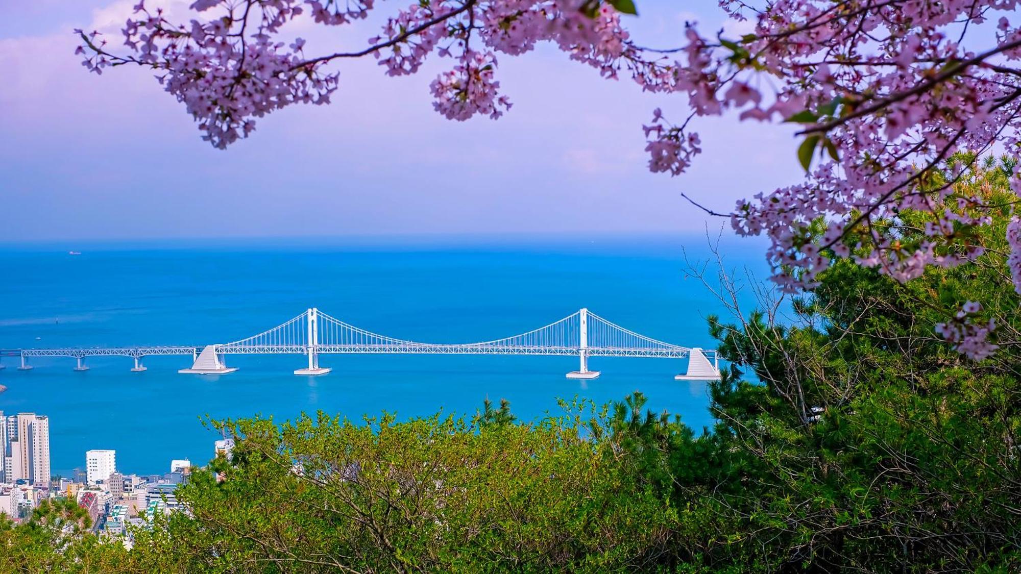 Kent Hotel Gwangalli by Kensington Busan Bagian luar foto